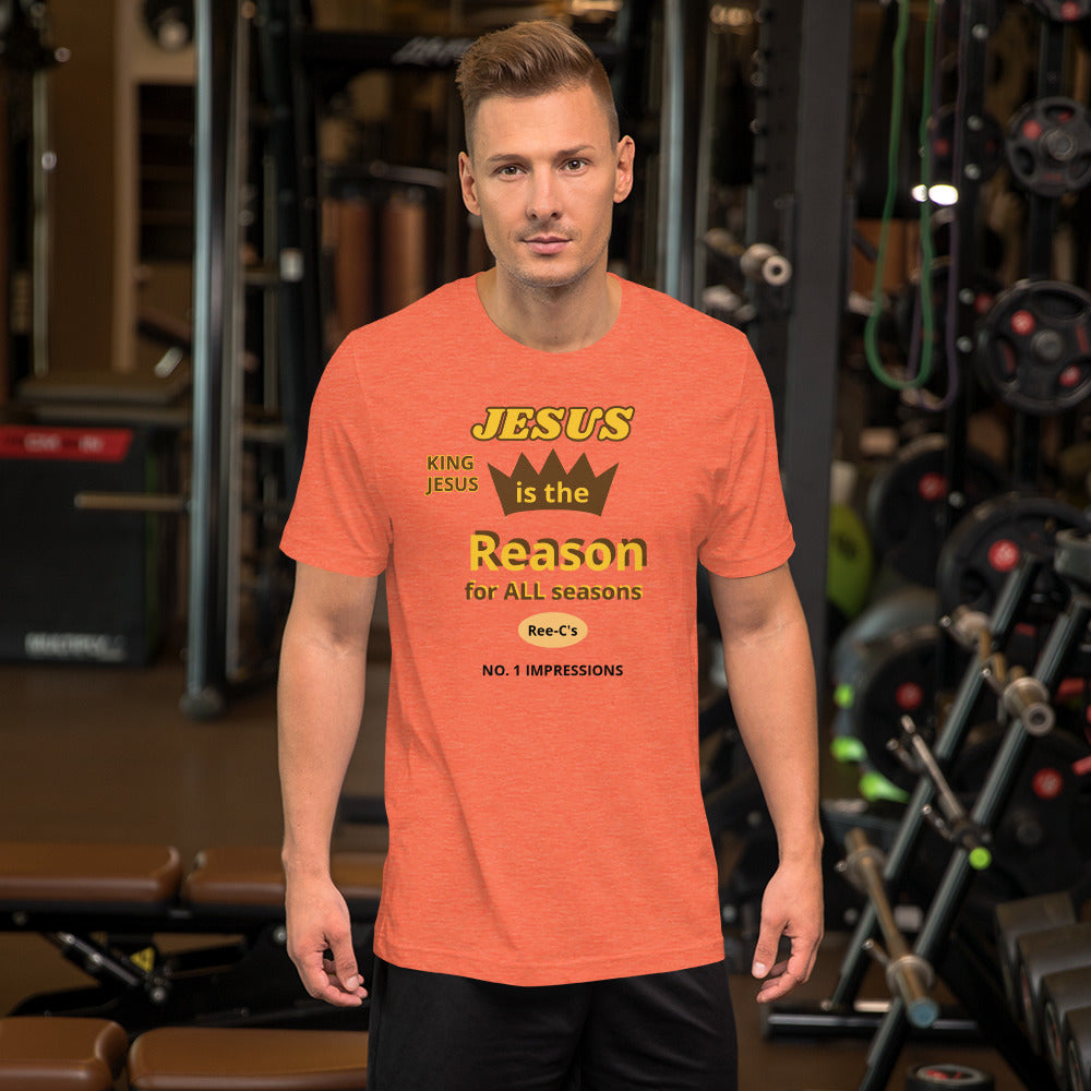 Jesus Is The Reason For All Seasons Unisex T-Shirt